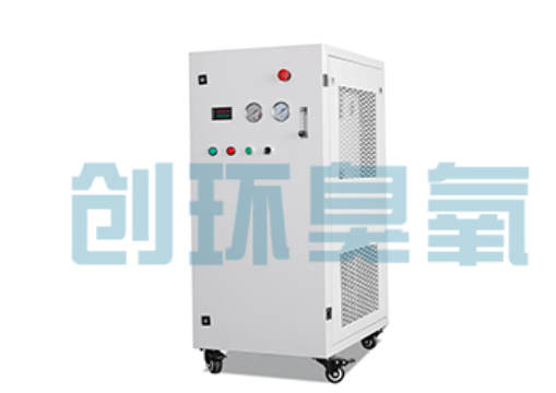 淄博石斑鱼养殖水质调控完整指南:臭氧发生器配置与操作步骤
